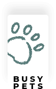 Pet Care Website Template